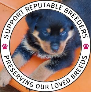 Meet your Posher, Joanne